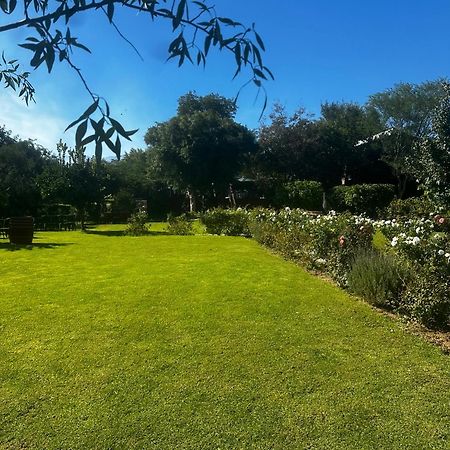 Le Reve Boutique Hotel Tulbagh Exteriör bild