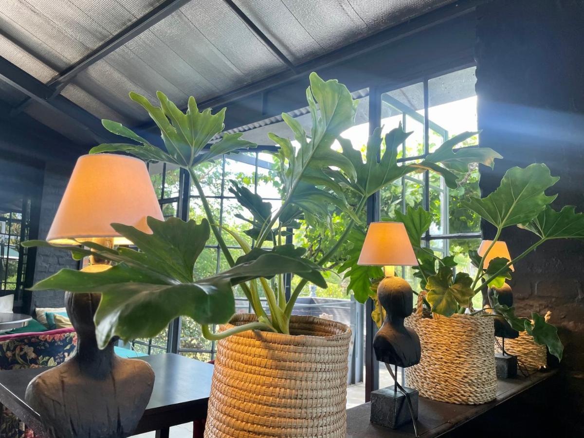 Le Reve Boutique Hotel Tulbagh Exteriör bild