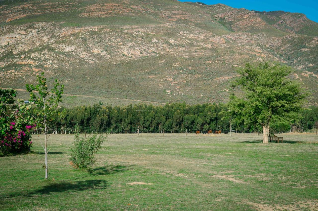 Le Reve Boutique Hotel Tulbagh Exteriör bild